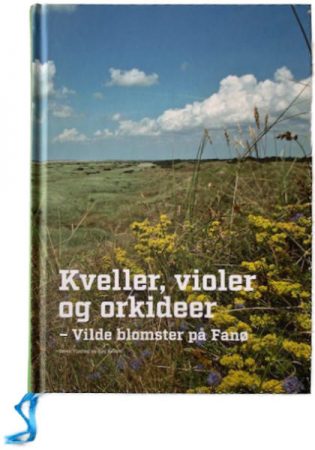 Kvaller_Violer_og_andre_Orkideer-Vilde_blomster_på_fanø Kveller, Violer og orkideer - Vilde blomster på Fanø